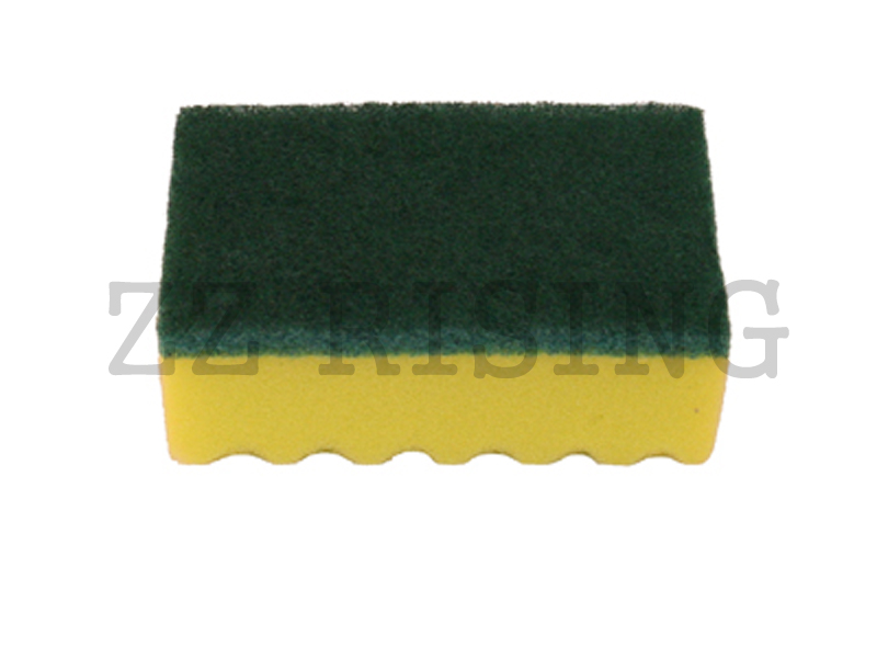 Sponge Scourers
